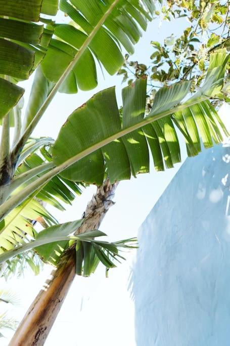 Tortuga Blue House In Banana Plantation Arucas Exterior foto